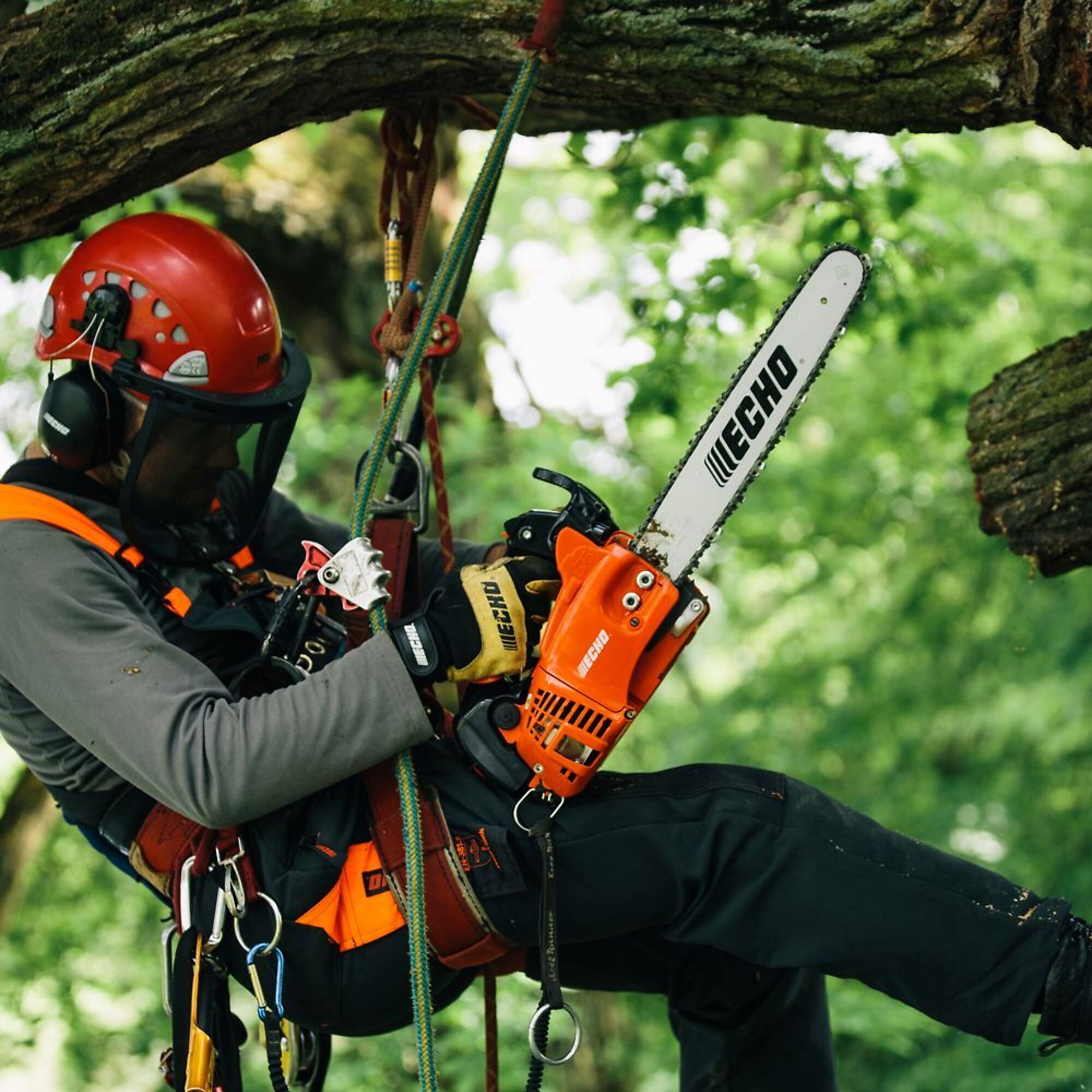 ECHO X-Series, Gas-Powered Top Handle Chainsaw, Bar Length 12 in., Engine Displacement 25.0 cc, Model# CS-2511T-12